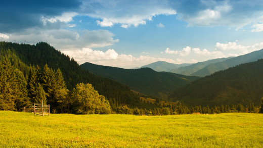 594894 (a): :1920x1080